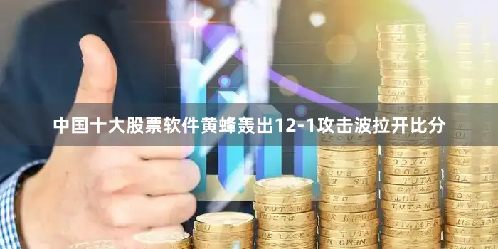 中国十大股票软件黄蜂轰出12-1攻击波拉开比分