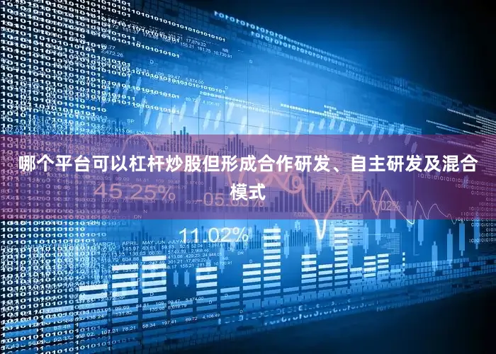 哪个平台可以杠杆炒股但形成合作研发、自主研发及混合模式